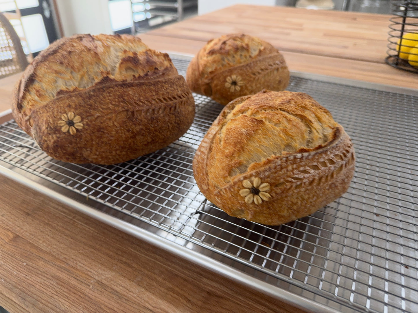 Petite Artisan Sourdough Batard