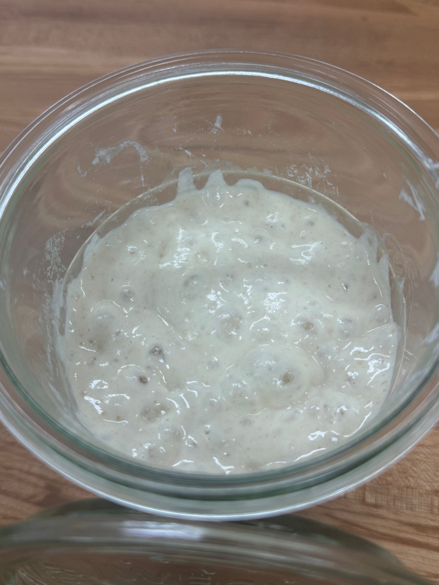 Sourdough Starter