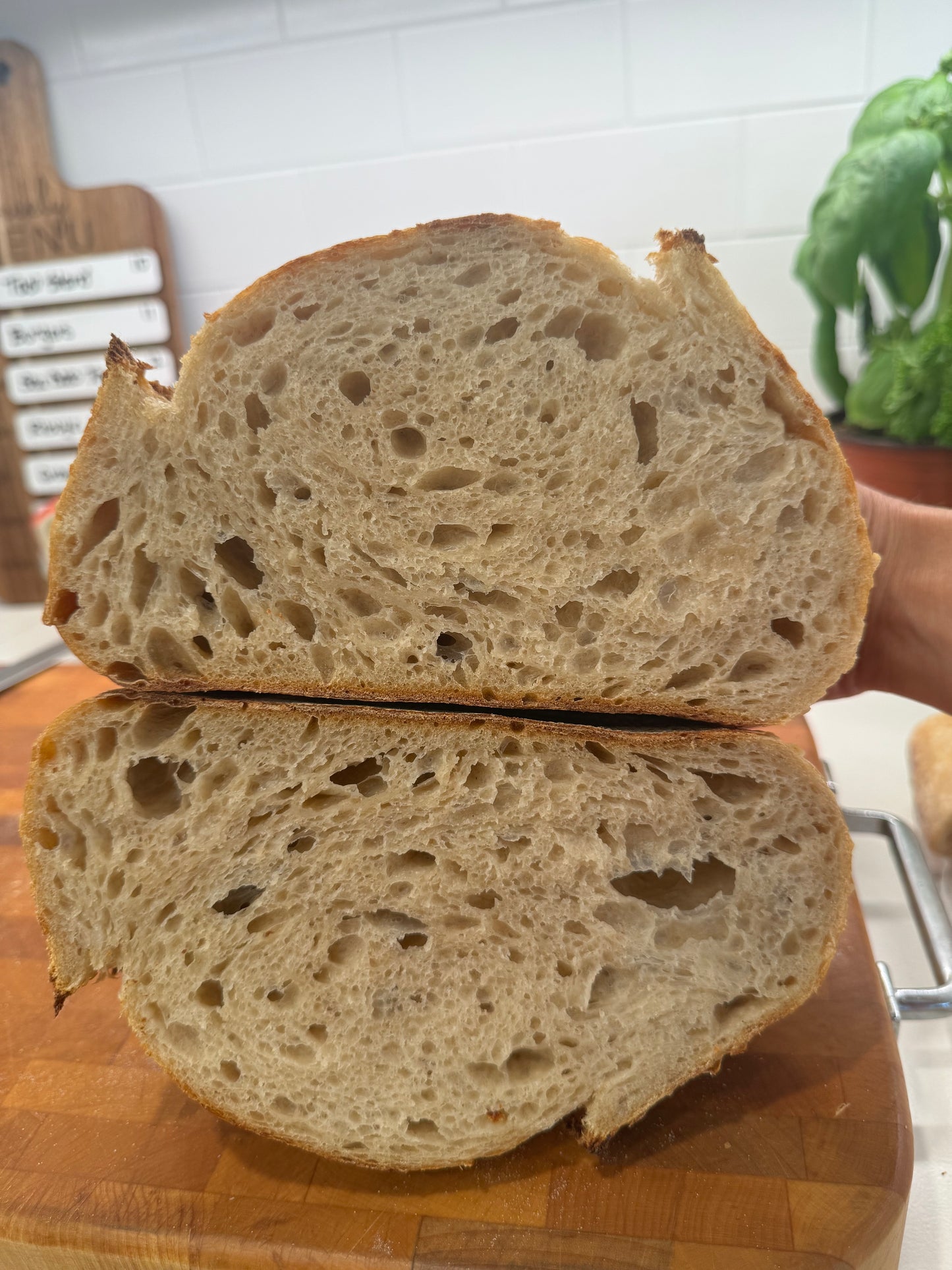 Artisan Sourdough Batard, 32oz (900g)